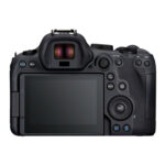 Canon EOS R6 Mark II + 24-105 mm f/4-7.1 IS STM - Image 3