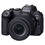 Canon EOS R6 Mark II + 24-105 mm f/4-7.1 IS STM - Image 5