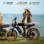 URLIFE T2 Adult 20-inch E-bike All-Terrain Fat Tire E-Mountain Bike 250W 48V 15.6Ah Battery Electric Bicycle - Image 10