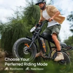 URLIFE T2 Adult 20-inch E-bike All-Terrain Fat Tire E-Mountain Bike 250W 48V 15.6Ah Battery Electric Bicycle - Image 18
